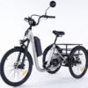 Vélo électrique stable trois roues Damius EVASION EVO gris
