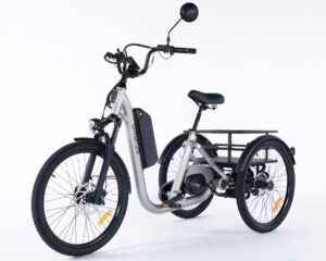 V&eacute;lo &eacute;lectrique stable trois roues Damius EVASION EVO gris